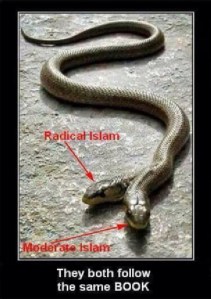 2headed-snake-radical-moderate-islam-same-koran