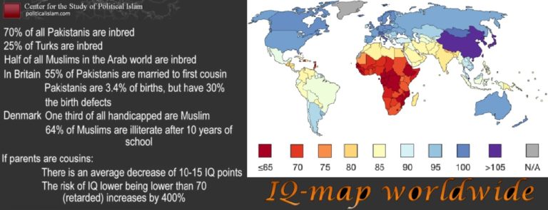 iq-kaart-wereld-inbreed-islam-768x295