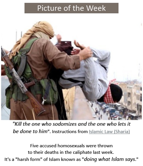 sharia-gay-homo-building-throw